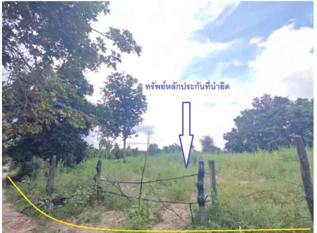 ขายทอดตลาด ที่ดินว่างเปล่า ต.น้ำรึม อ.เมืองตาก จ.ตาก