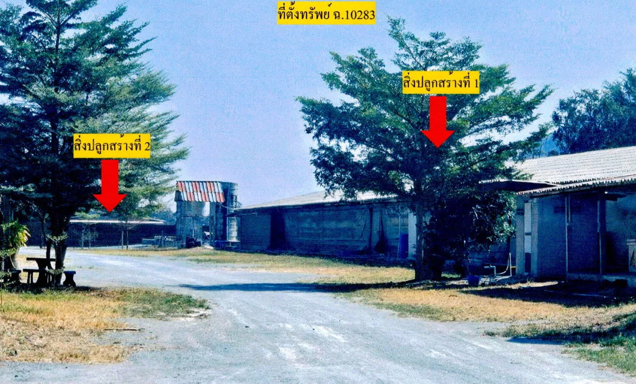 ขายทอดตลาด ที่ดินพร้อมสิ่งปลูกสร้าง ต.ห้วยกระเจา อ.ห้วยกระเจา จ.กาญจนบุรี