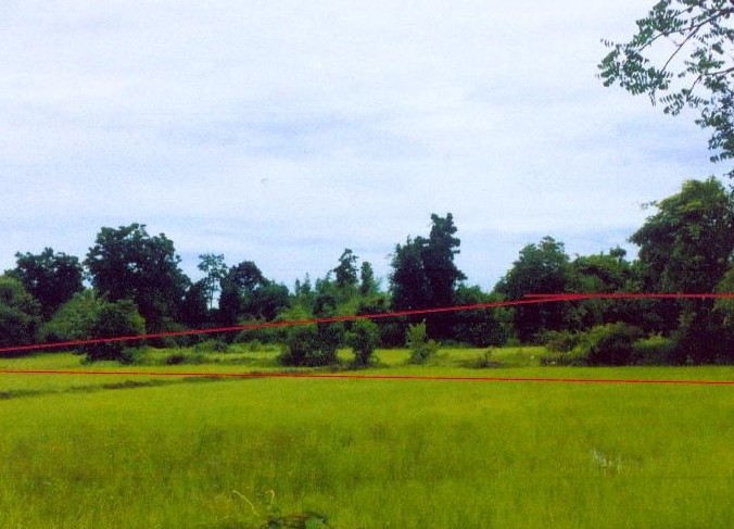ขายทอดตลาด ที่ดินว่างเปล่า ต.น้ำรึม อ.เมืองตาก จ.ตาก