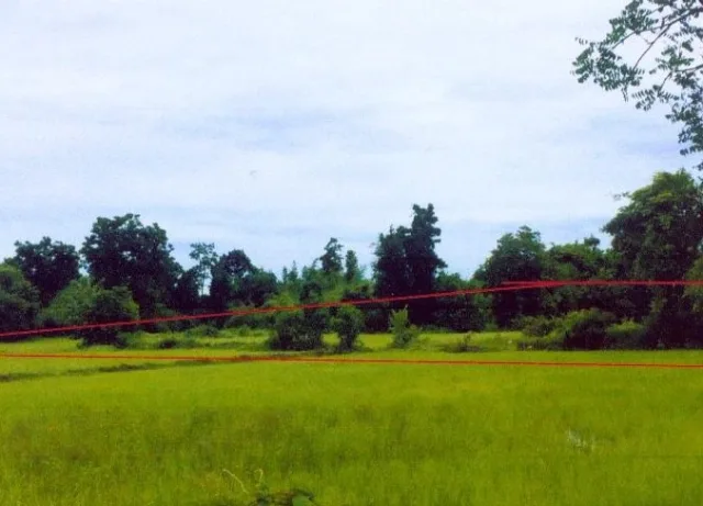 ขายทอดตลาด ที่ดินว่างเปล่า ต.น้ำรึม อ.เมืองตาก จ.ตาก