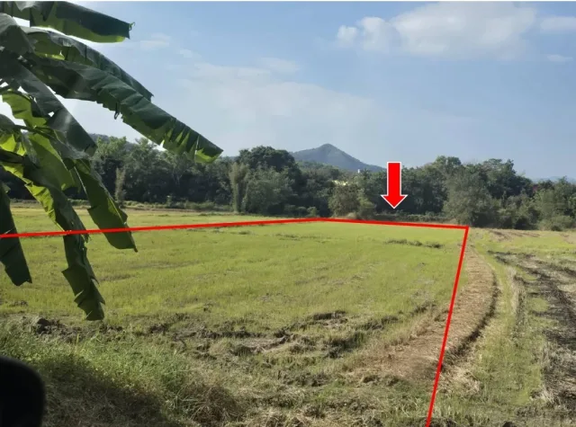 ขายทอดตลาด ที่ดินว่างเปล่า จ.ตาก