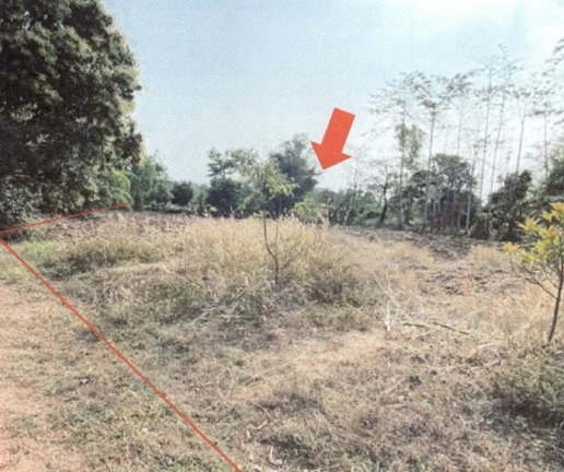 ขายทอดตลาด ที่ดินว่างเปล่า ต.บ้านผึ้ง อ.เมืองนครพนม จ.นครพนม