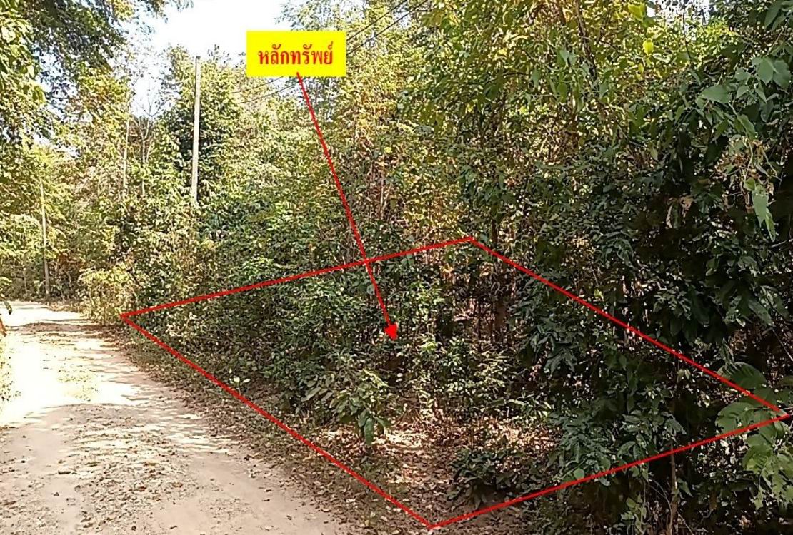 ขายทอดตลาด ที่ดินว่างเปล่า ต.น้ำรึม อ.เมืองตาก จ.ตาก