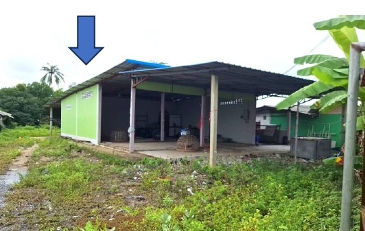 ขายทอดตลาด ที่ดินพร้อมสิ่งปลูกสร้าง ต.ห้วยหมอนทอง อ.กำแพงแสน จ.นครปฐม