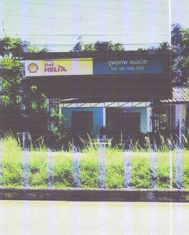 ขายทอดตลาด ที่ดินพร้อมสิ่งปลูกสร้าง ต.ทรายขาว อ.คลองท่อม จ.กระบี่