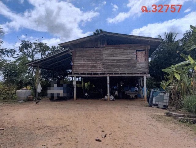 ขายทอดตลาด ที่ดินพร้อมสิ่งปลูกสร้าง ต.วังหิน อ.เมืองตาก จ.ตาก