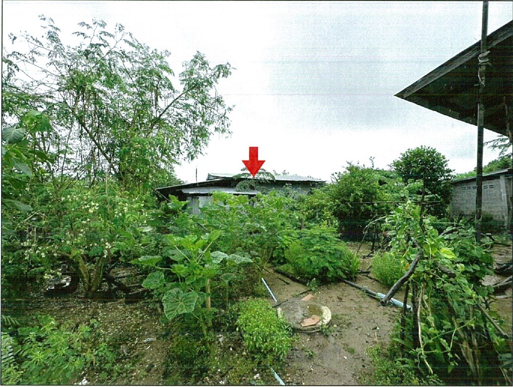 ขายทอดตลาด ที่ดินพร้อมสิ่งปลูกสร้าง ต.ยกกระบัตร อ.สามเงา จ.ตาก