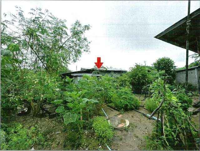 ขายทอดตลาด ที่ดินพร้อมสิ่งปลูกสร้าง ต.ยกกระบัตร อ.สามเงา จ.ตาก