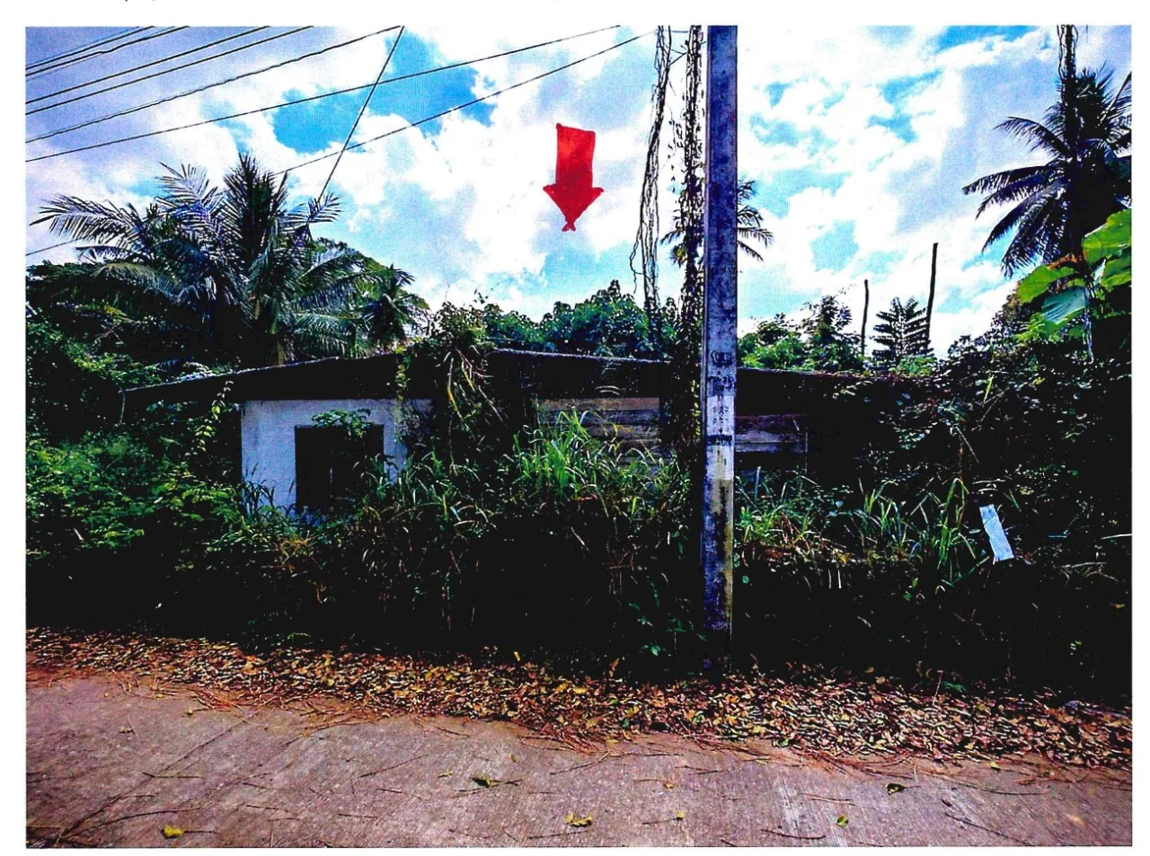 ขายทอดตลาด ที่ดินพร้อมสิ่งปลูกสร้าง ต.ทุ่งกระเชาะ อ.บ้านตาก จ.ตาก