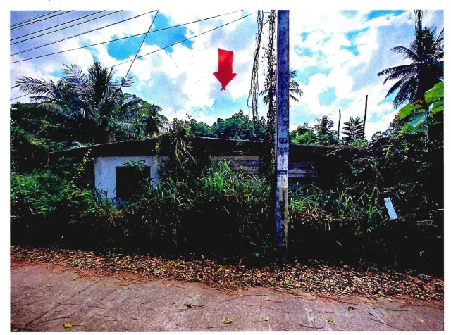 ขายทอดตลาด ที่ดินพร้อมสิ่งปลูกสร้าง ต.ทุ่งกระเชาะ อ.บ้านตาก จ.ตาก