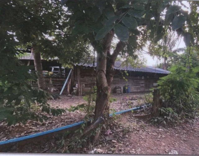 ขายทอดตลาด ที่ดินพร้อมสิ่งปลูกสร้าง ต.วังประจบ อ.เมืองตาก จ.ตาก