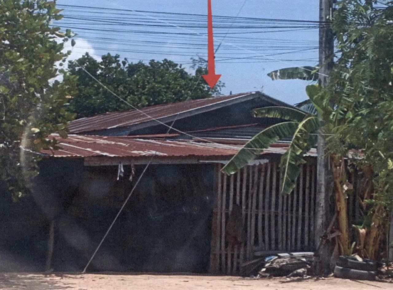 ขายทอดตลาด ที่ดินพร้อมสิ่งปลูกสร้าง ต.วังประจบ อ.เมืองตาก จ.ตาก