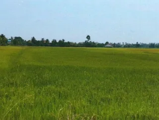 รูปทรัพย์ 1