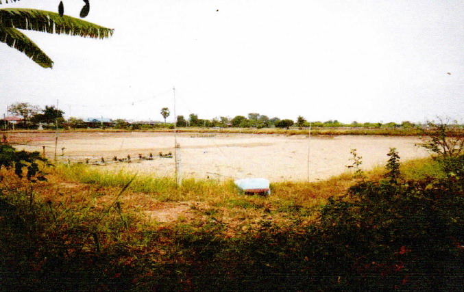 ขายทอดตลาด ที่ดินว่างเปล่า ต.ดอนข่อย อ.กำแพงแสน จ.นครปฐม