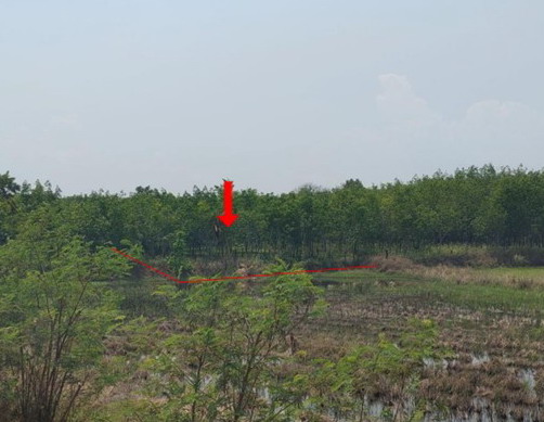 ขายทอดตลาด ที่ดินพร้อมสิ่งปลูกสร้าง ต.ธาตุพนม อ.ธาตุพนม จ.นครพนม