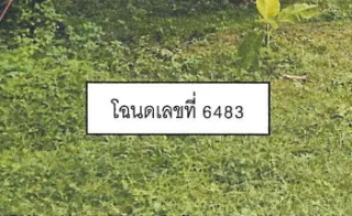 รูปทรัพย์ 2