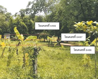 รูปทรัพย์ 4