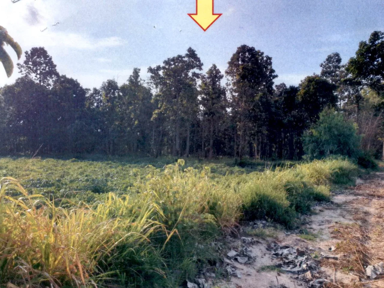 ขายทอดตลาด ที่ดินว่างเปล่า ต.นามน อ.นามน จ.กาฬสินธุ์