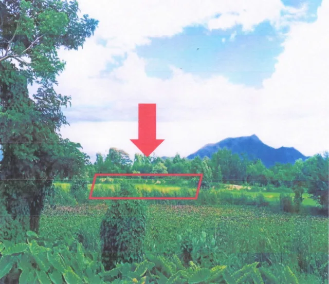 ขายทอดตลาด ที่ดินว่างเปล่า ต.น้ำรึม อ.เมืองตาก จ.ตาก