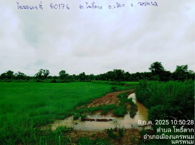 ขายทอดตลาด ที่ดินว่างเปล่า ต.โพธิ์ตาก อ.เมืองนครพนม จ.นครพนม