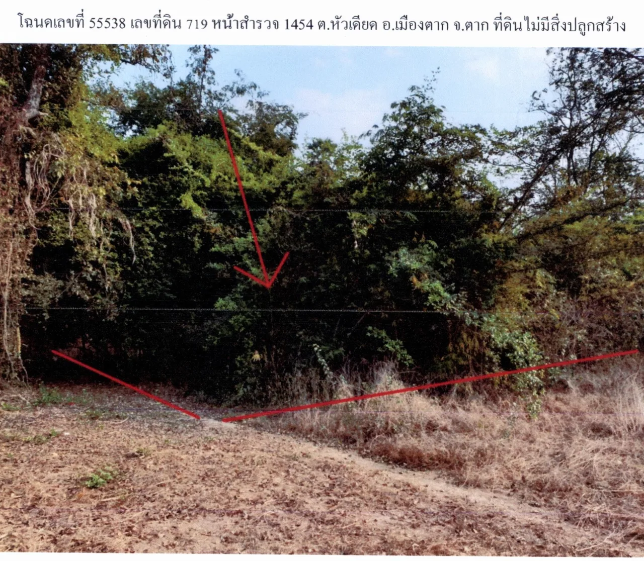 ขายทอดตลาด ที่ดินว่างเปล่า ต.หัวเดียด อ.เมืองตาก จ.ตาก