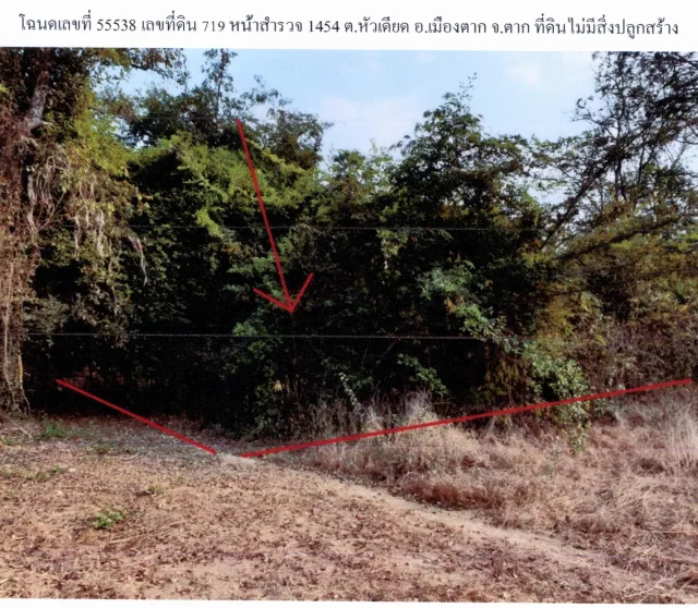 ขายทอดตลาด ที่ดินว่างเปล่า ต.หัวเดียด อ.เมืองตาก จ.ตาก