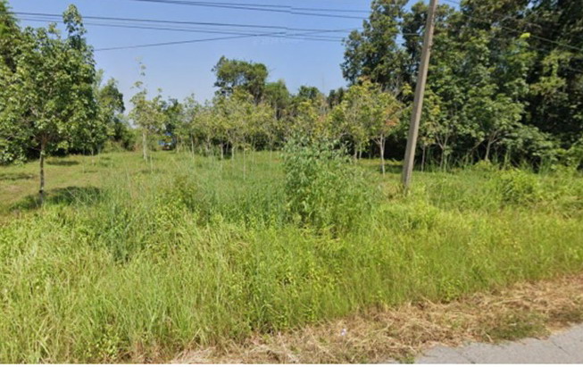 ขายทอดตลาด ที่ดินว่างเปล่า ต.บ้านค้อ อ.โพนสวรรค์ จ.นครพนม
