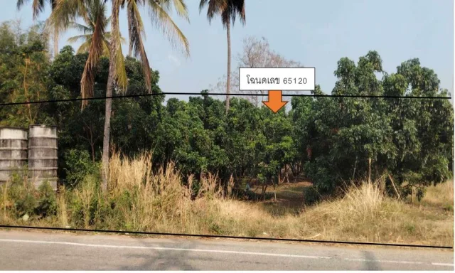 ขายทอดตลาด ที่ดินว่างเปล่า ต.หนองบัวใต้ อ.เมืองตาก จ.ตาก