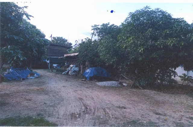 ขายทอดตลาด ที่ดินพร้อมสิ่งปลูกสร้าง ต.สามเงา อ.สามเงา จ.ตาก
