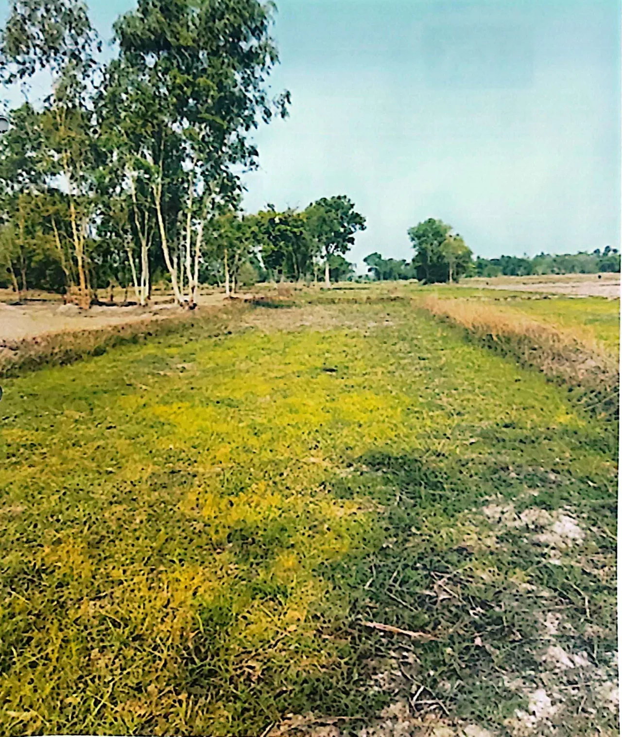 ขายทอดตลาด ที่ดินว่างเปล่า ต.บ้านผึ้ง อ.เมืองนครพนม จ.นครพนม