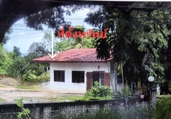 ขายทอดตลาด ที่ดินพร้อมสิ่งปลูกสร้าง ต.วังหมัน อ.สามเงา จ.ตาก
