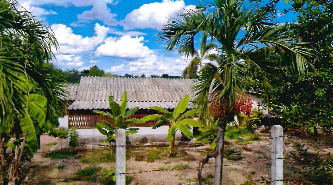 ขายทอดตลาด ที่ดินพร้อมสิ่งปลูกสร้าง ต.ท้องฟ้า อ.บ้านตาก จ.ตาก