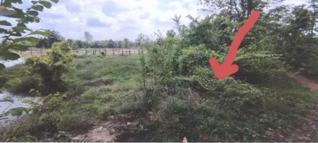 ขายทอดตลาด ที่ดินว่างเปล่า ต.วังประจบ อ.เมืองตาก จ.ตาก