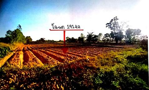 ขายทอดตลาด ที่ดินว่างเปล่า ต.หนองกุงศรี อ.หนองกุงศรี จ.กาฬสินธุ์