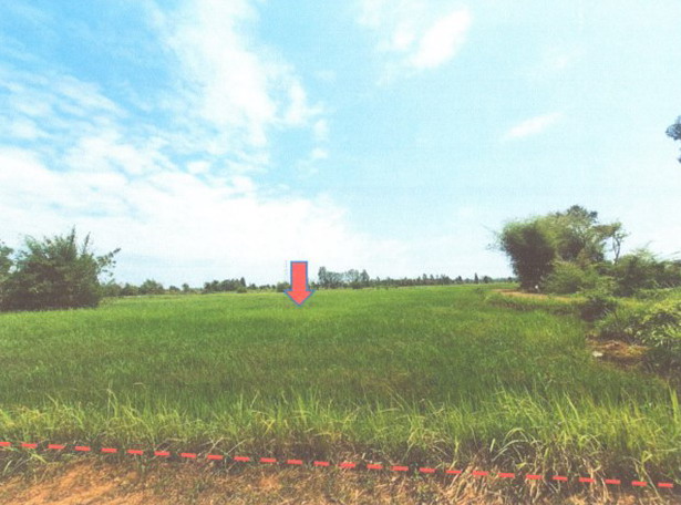 ขายทอดตลาด ที่ดินว่างเปล่า ต.บ้านผึ้ง อ.เมืองนครพนม จ.นครพนม
