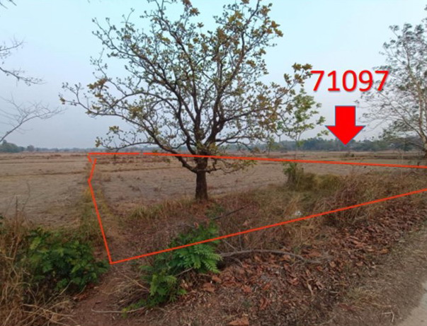 ขายทอดตลาด ที่ดินว่างเปล่า ต.โพธิ์ตาก อ.เมืองนครพนม จ.นครพนม