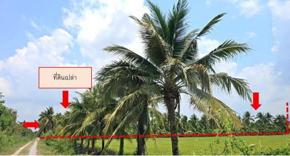 ขายทอดตลาด ที่ดินว่างเปล่า ต.มหาสวัสดิ์ อ.พุทธมณฑล จ.นครปฐม