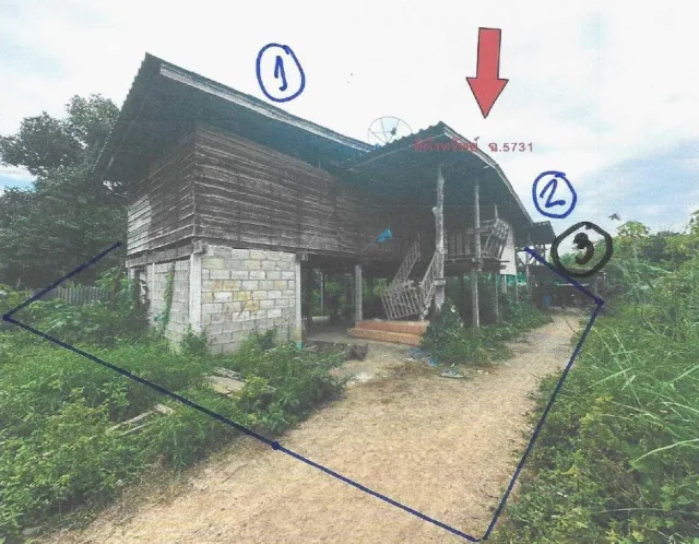 ขายทอดตลาด ที่ดินพร้อมสิ่งปลูกสร้าง ต.ตากตก อ.บ้านตาก จ.ตาก