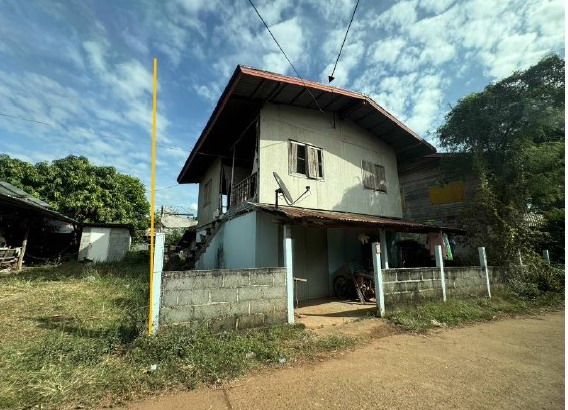 ขายทอดตลาด ที่ดินพร้อมสิ่งปลูกสร้าง ต.บ้านเสียว อ.นาหว้า จ.นครพนม