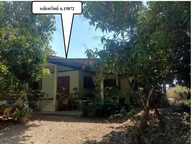 ขายทอดตลาด ที่ดินพร้อมสิ่งปลูกสร้าง ต.ไม้งาม อ.เมืองตาก จ.ตาก