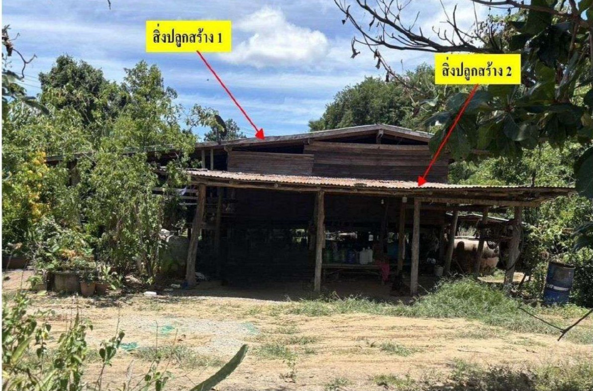 ขายทอดตลาด ที่ดินพร้อมสิ่งปลูกสร้าง ต.โป่งแดง อ.เมืองตาก จ.ตาก