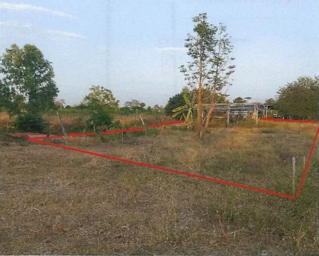 ขายทอดตลาด ที่ดินว่างเปล่า ต.เชียงทอง อ.วังเจ้า จ.ตาก