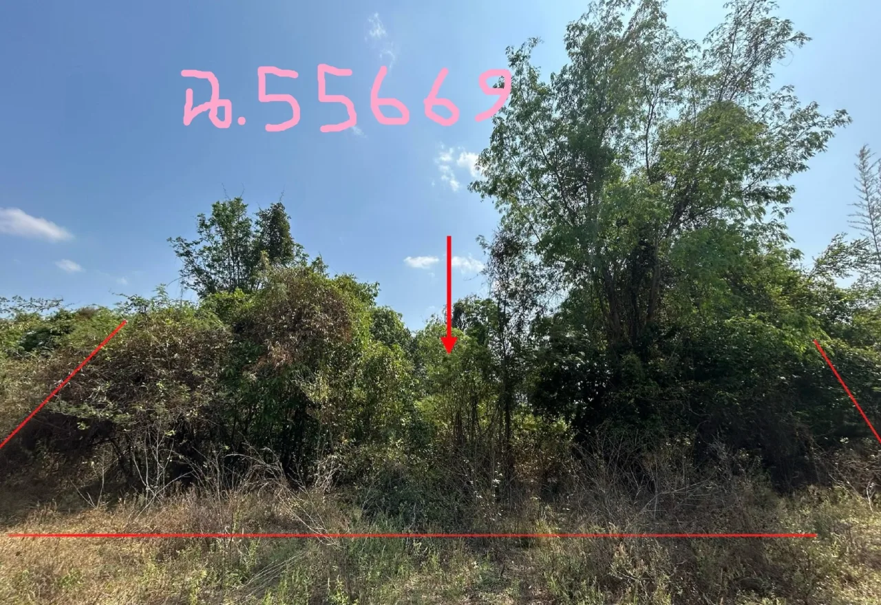 ขายทอดตลาด ที่ดินว่างเปล่า ต.น้ำรึม อ.เมืองตาก จ.ตาก