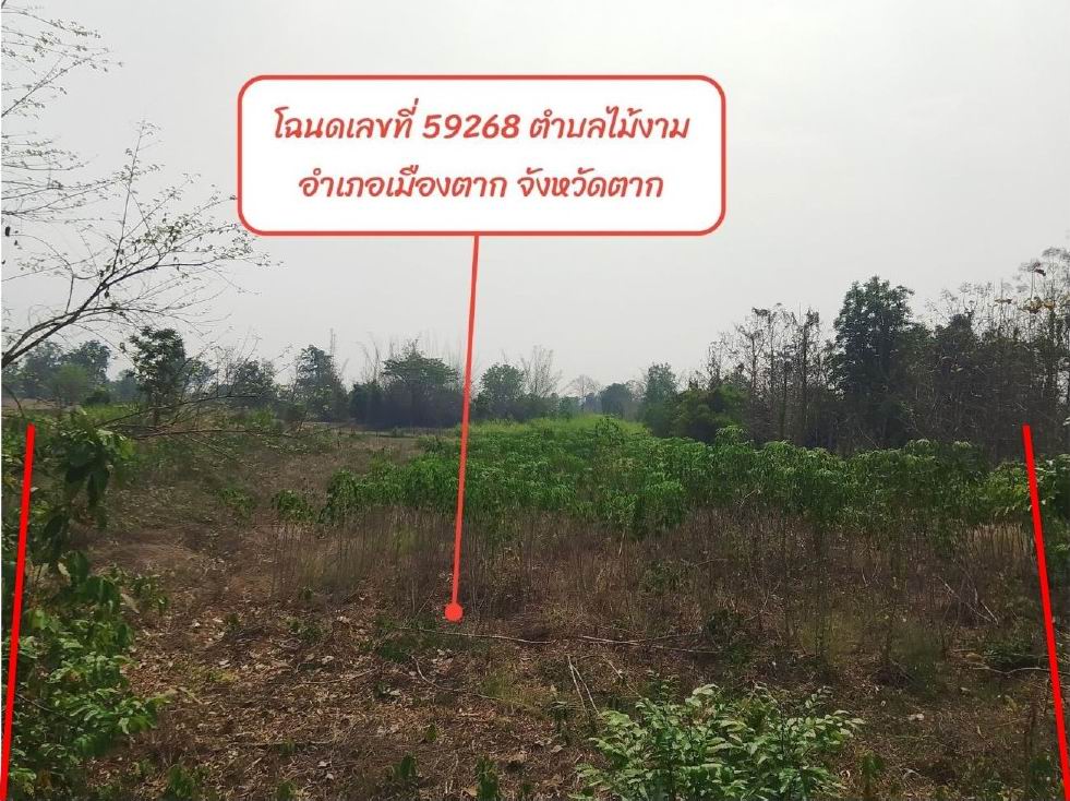 ขายทอดตลาด ที่ดินว่างเปล่า ต.ไม้งาม อ.เมืองตาก จ.ตาก