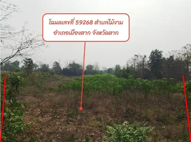 ขายทอดตลาด ที่ดินว่างเปล่า ต.ไม้งาม อ.เมืองตาก จ.ตาก