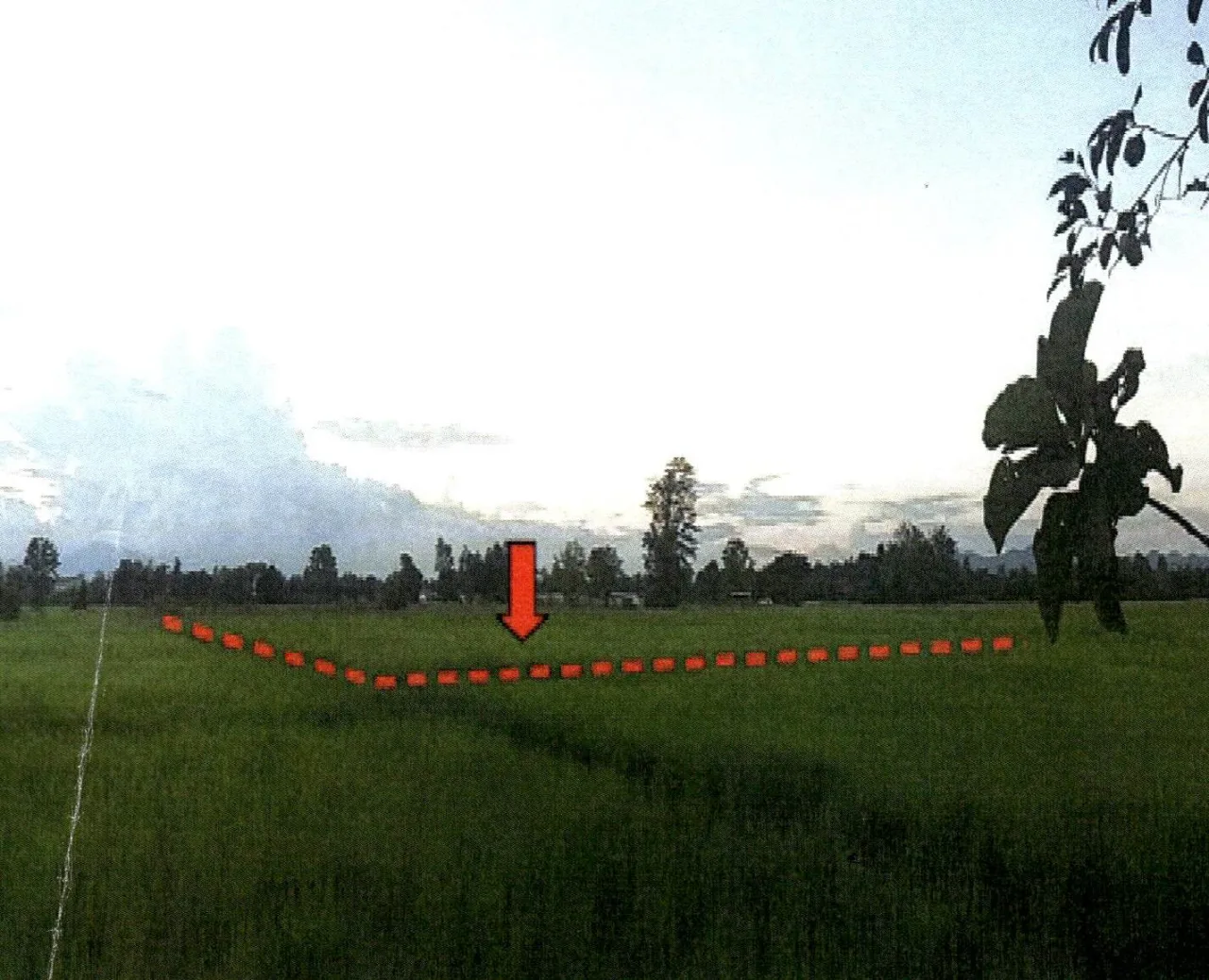 ขายทอดตลาด ที่ดินว่างเปล่า ต.สำราญราษฎร์ อ.ดอยสะเก็ด จ.เชียงใหม่