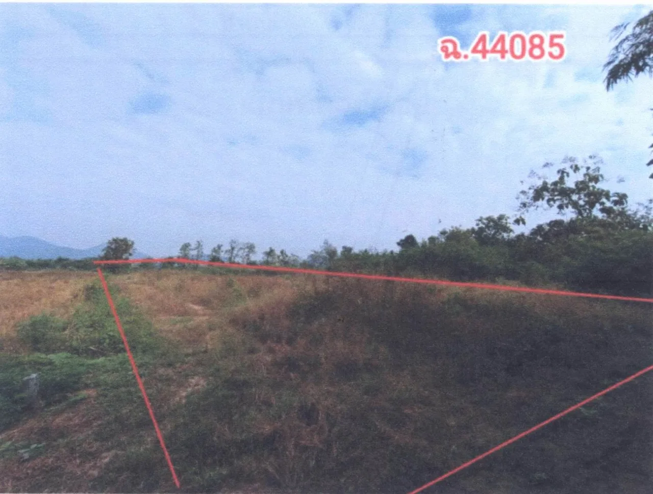 ขายทอดตลาด ที่ดินว่างเปล่า ต.วังหิน อ.เมืองตาก จ.ตาก