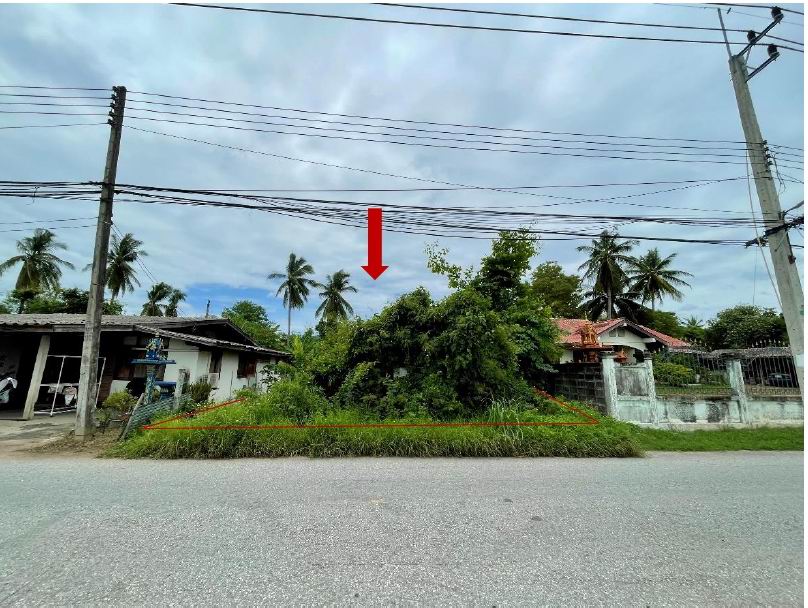 ขายทอดตลาด ที่ดินว่างเปล่า ต.วังหิน อ.เมืองตาก จ.ตาก