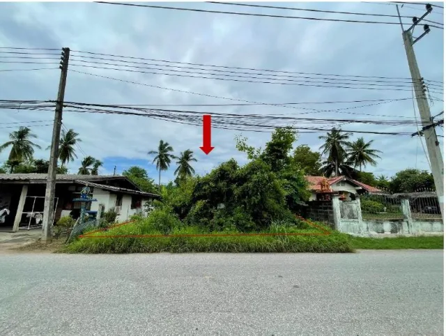 ขายทอดตลาด ที่ดินว่างเปล่า ต.วังหิน อ.เมืองตาก จ.ตาก