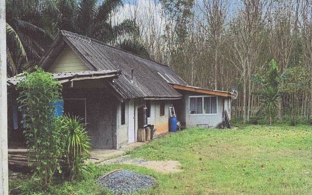 ขายทอดตลาด ที่ดินพร้อมสิ่งปลูกสร้าง ต.คลองพน อ.คลองท่อม จ.กระบี่